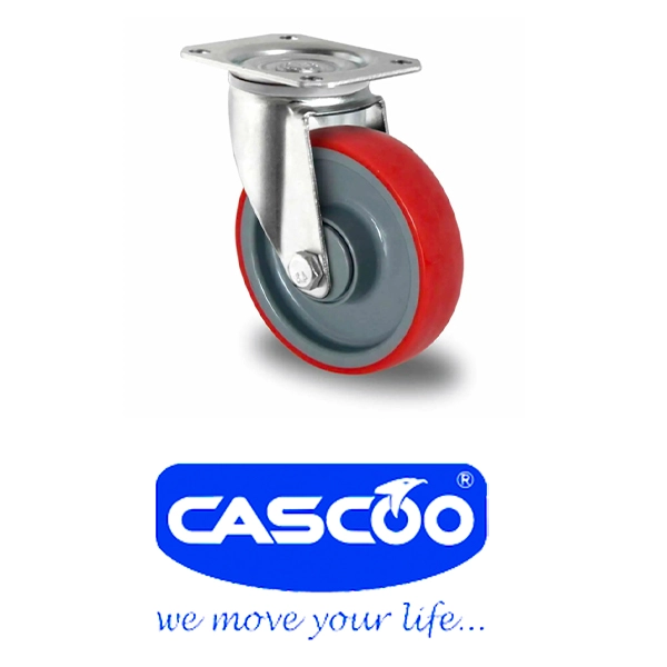 cascoo slide